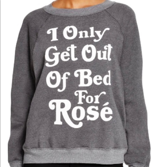 Wildfox Sweaters - Wildfox Gray Sweatshirt Size XS